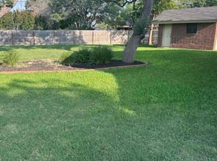 Amber M.'s lawn care service result