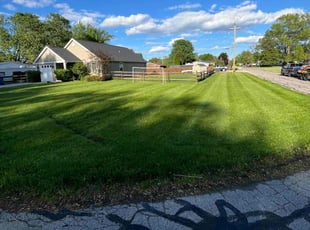 Paul S.'s turf care service result