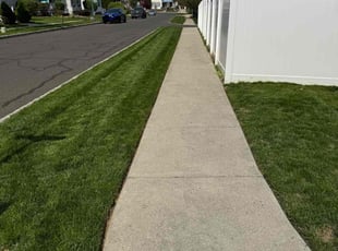 Jeff T.'s grass cutting service result