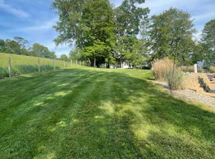Ashley D.'s grass cutting service result