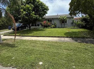 Kenneth O.'s grass maintenance service result
