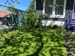 Marcela I.'s lawn maintenance service result