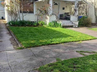 Ken H.'s lawn care services service result
