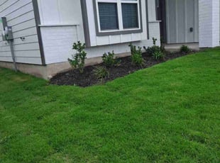 Aaron V.'s lawn service service result