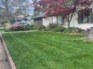 Melinda A.'s grass cutting service result