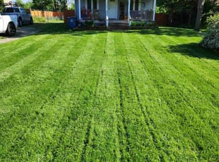 Jack J.'s lawn maintenance service result