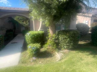 Elizabeth N.'s Bush Trimming service result