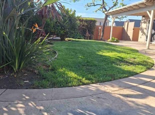 Diane A.'s grass cutting service result