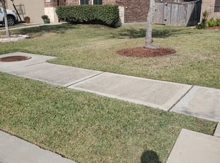 Mike R.'s Bush Trimming service result