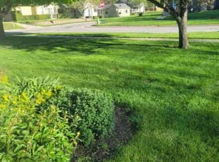 Brian S.'s grass cutting service result