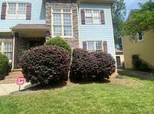 Chad H.'s Bush Trimming service result