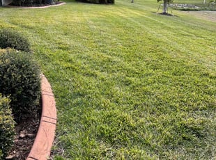 Ryan P.'s grass cutting service result