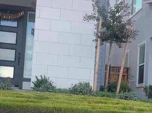 Carazett J.'s lawn care service result