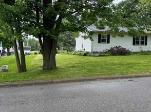 Charles B.'s lawn maintenance service result