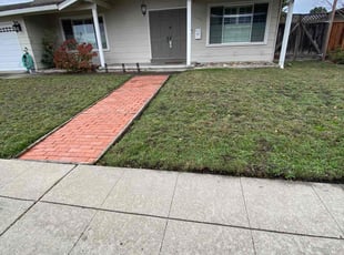 Steven S.'s turf care service result