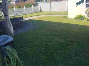 ANDREW G.'s turf care service result