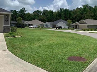 Austin T.'s lawn care service result