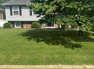 David A.'s turf care service result