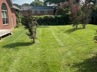 Heather P.'s grass maintenance service result
