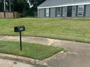 Eddie H.'s grass maintenance service result