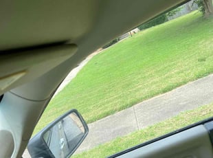 Mercedes S.'s Bush Trimming service result