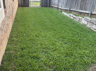 James M.'s grass cutting service result