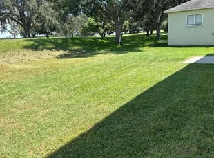 Willie L.'s grass cutting service result