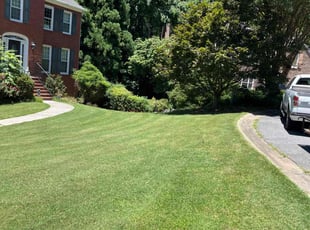 Gwen G.'s grass maintenance service result