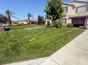 Jeanie D.'s grass cutting service result