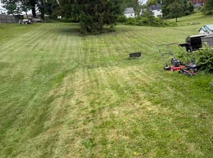 Garcia S.'s turf maintenance service result