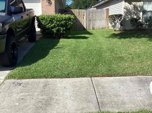 Yirgedu G.'s lawn service service result