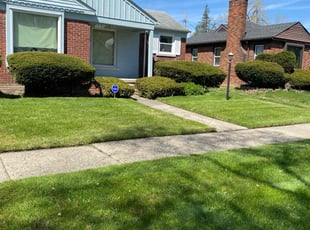 Camille T.'s lawn care service result