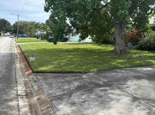 Will O.'s lawn care services service result