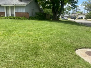 Eric G.'s lawn care services service result
