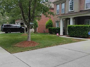 Shakera D.'s lawn service service result