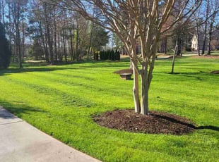 Jason B.'s lawn service service result