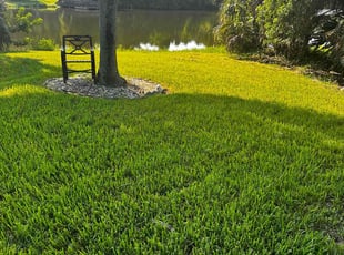 David O.'s turf maintenance service result