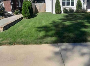 Chacara G.'s turf maintenance service result