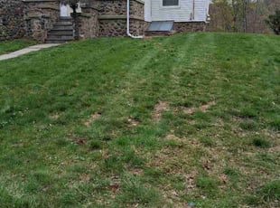 Arthur H.'s grass maintenance service result
