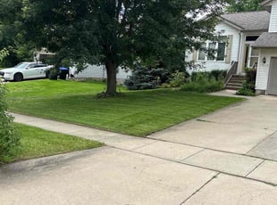 Alan M.'s turf maintenance service result