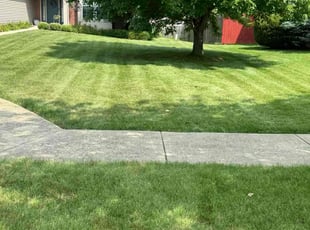 Laquita E.'s yard care service result