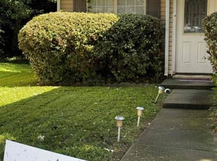 Sabrina R.'s Bush Trimming service result