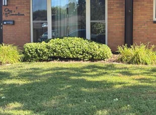 Colin D.'s lawn maintenance service result