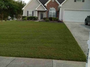 Sean M.'s lawn maintenance service result