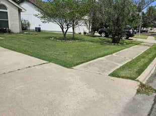 Zach H.'s lawn care service result