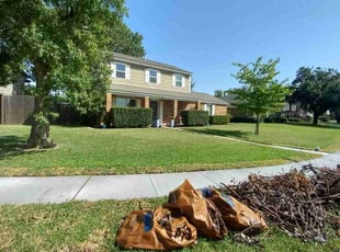 Douglas E.'s turf care service result