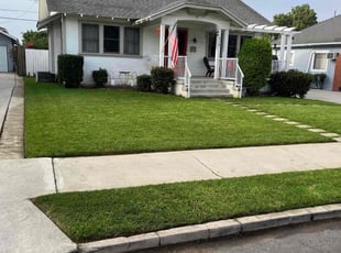 Michael A.'s lawn maintenance service result