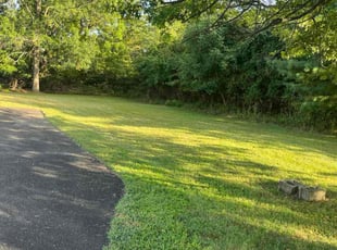 Juanita C.'s lawn care services service result