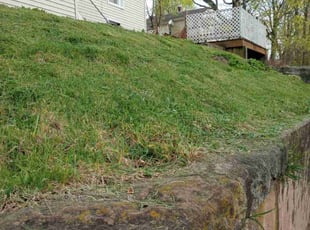 Cathy J.'s lawn service service result