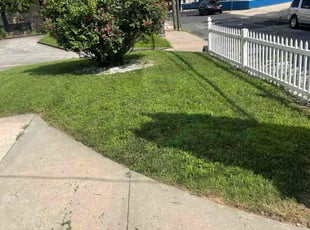 Brittani E.'s grass cutting service result